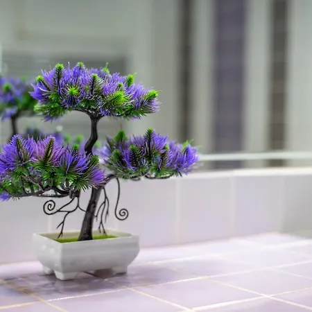 Trap's House * Karystos (Evia)